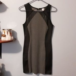 Black and gray contour dress
